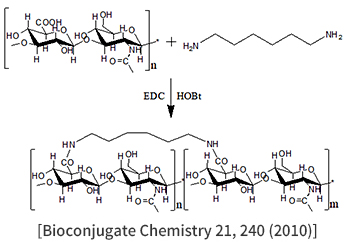 [Bioconjugate Chemistry 21, 240 (2010)]