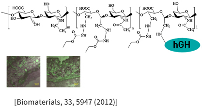 [Biomaterials, 33, 5947 (2012)]