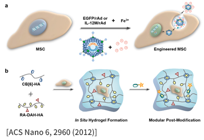 [ACS Nano 6, 2960 (2012)]